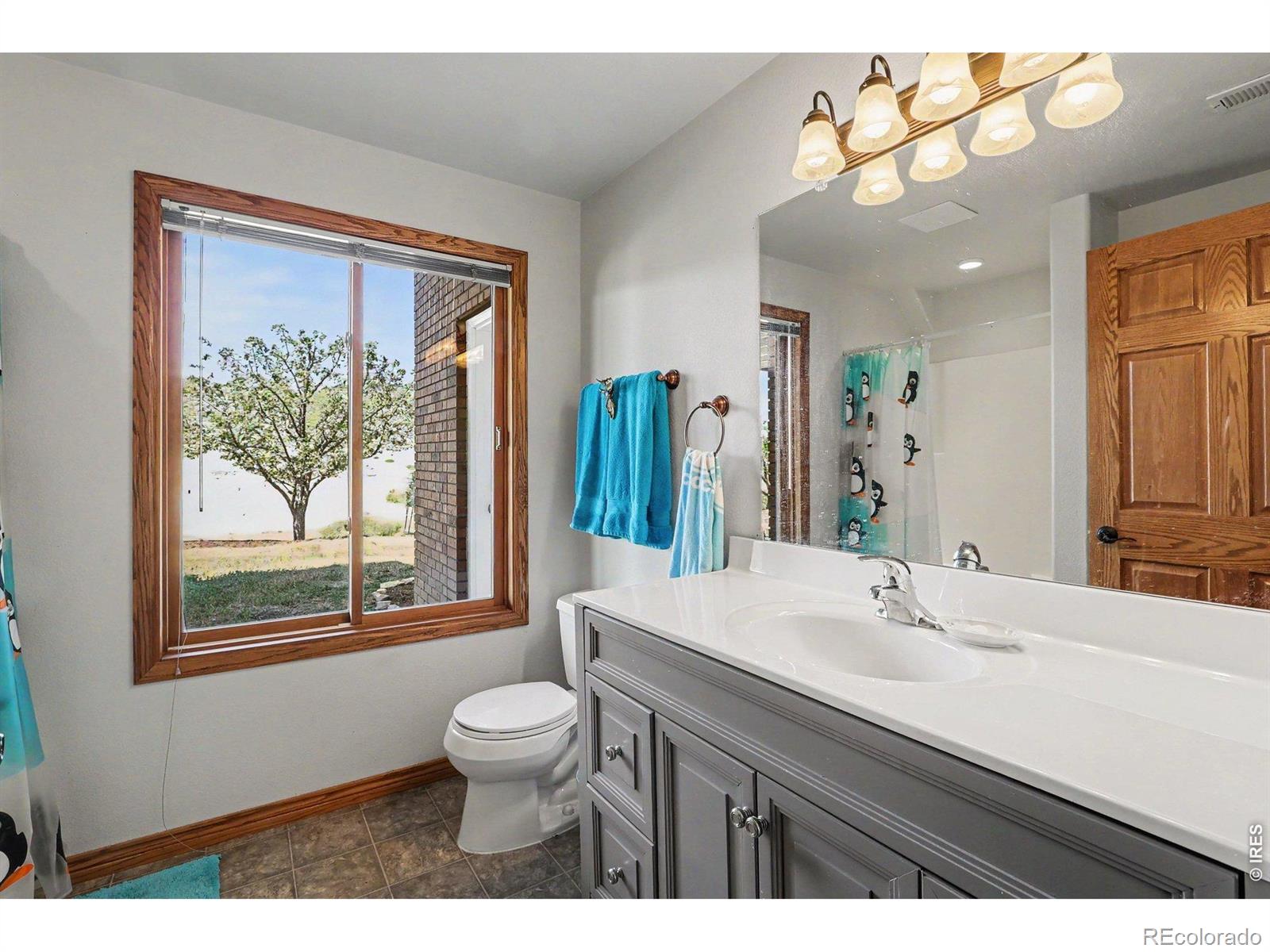 MLS Image #19 for 3421  kyle circle,loveland, Colorado