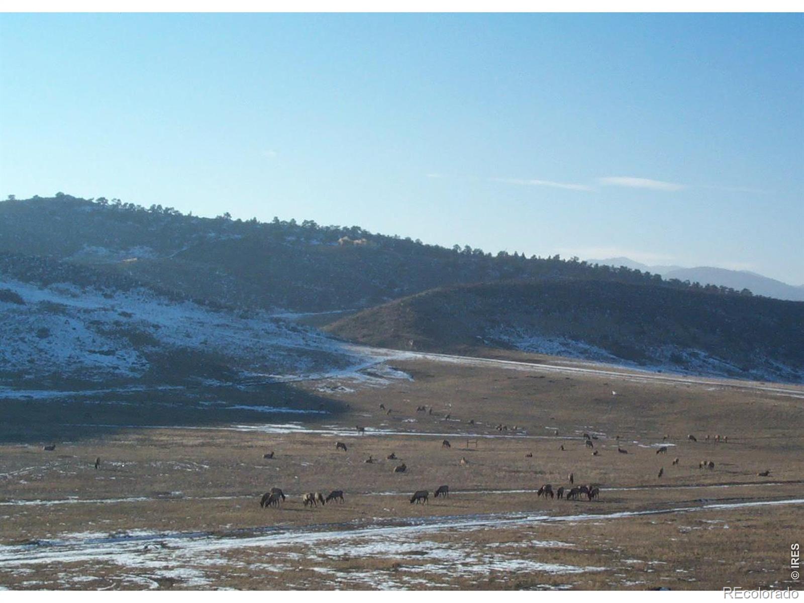 MLS Image #41 for 3421  kyle circle,loveland, Colorado