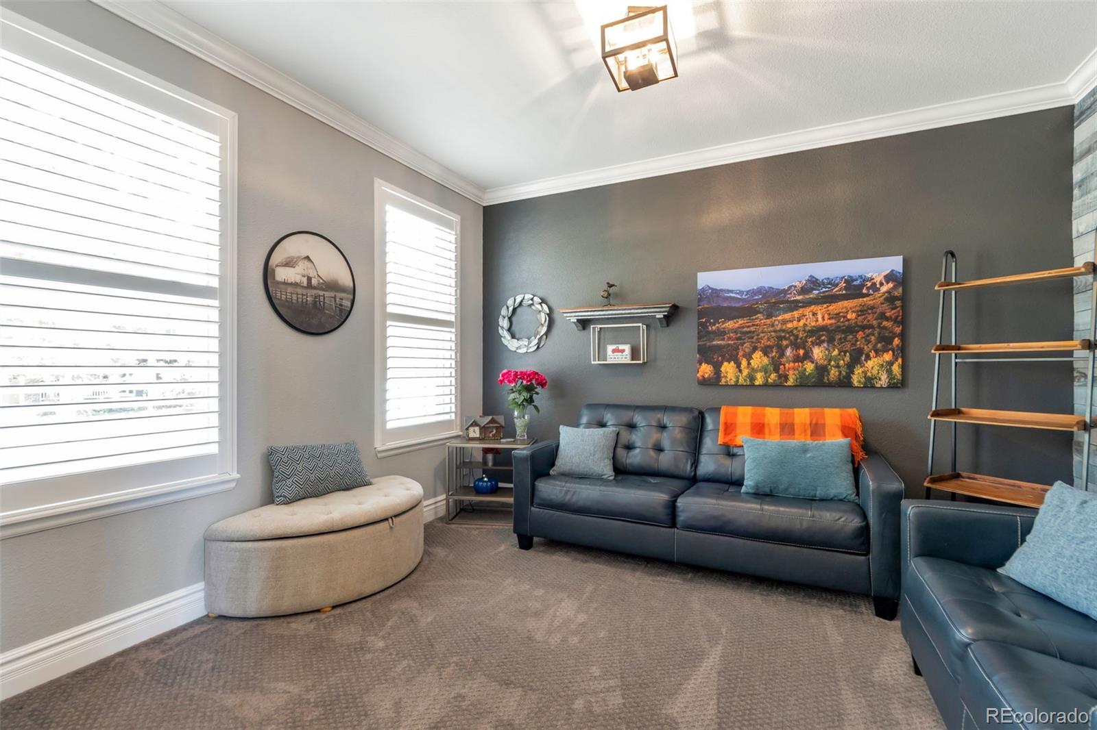 MLS Image #6 for 10078  brisbane way,littleton, Colorado