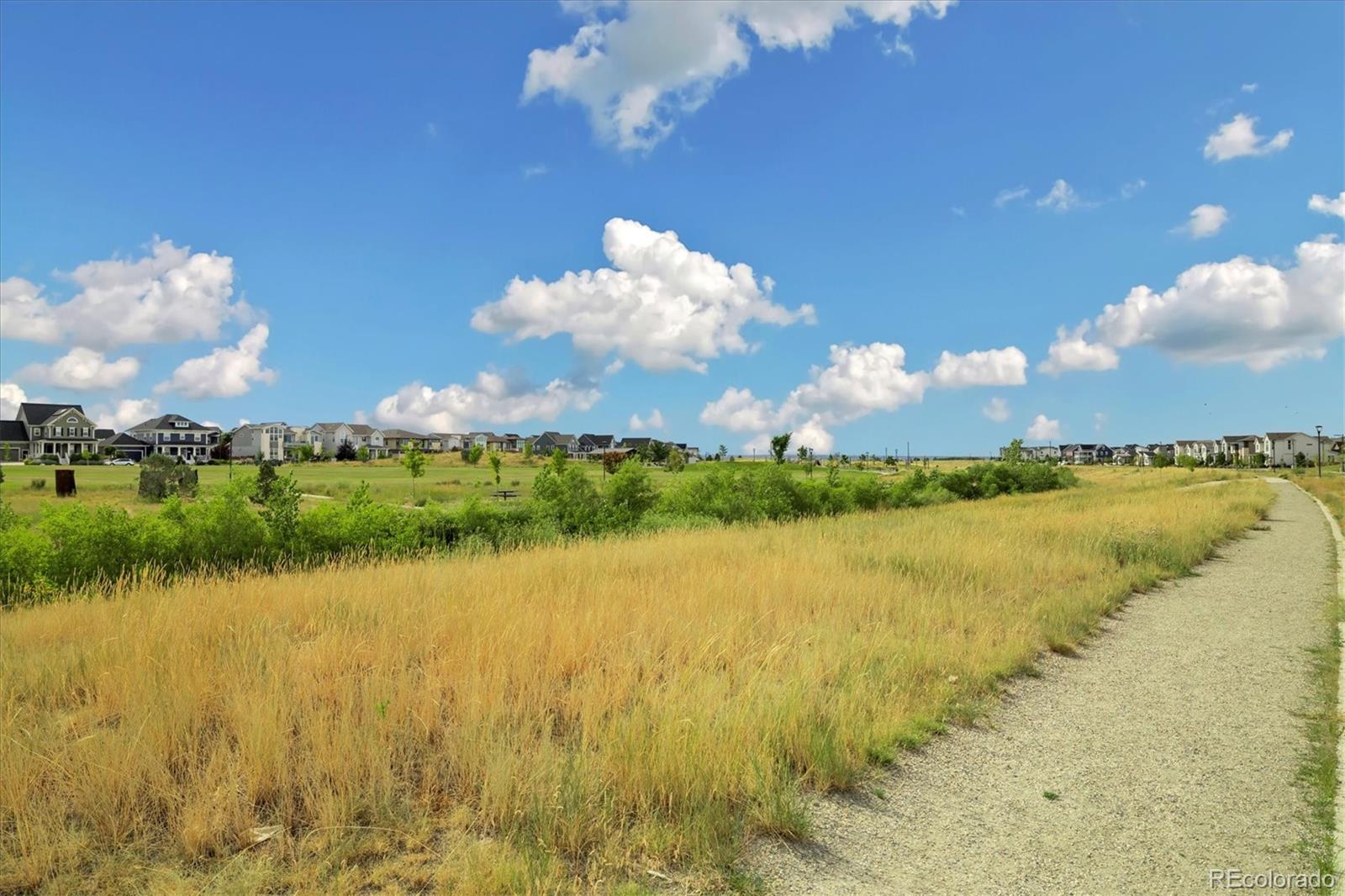 MLS Image #45 for 6302  emporia street,denver, Colorado