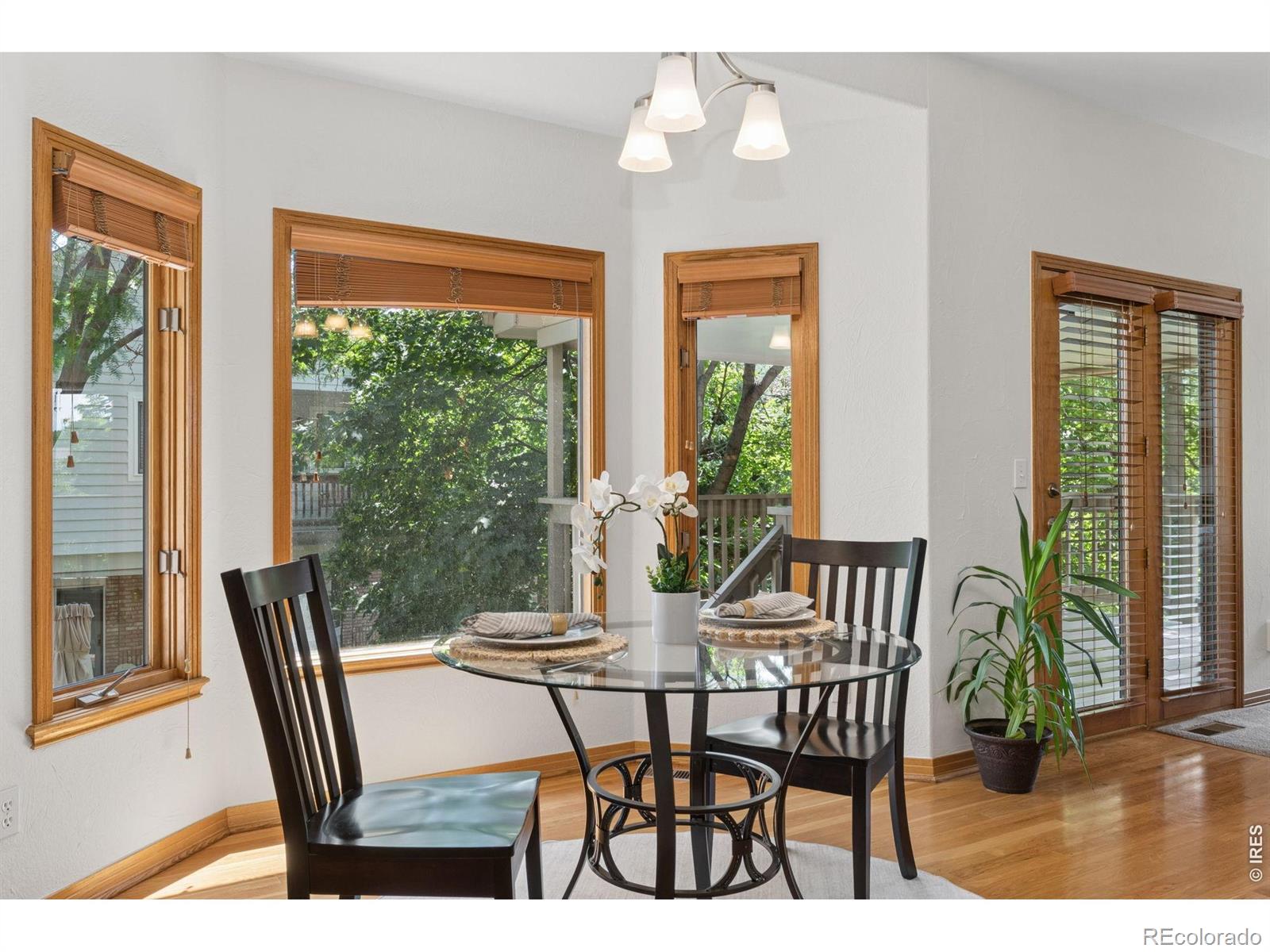 MLS Image #14 for 2413  willow lane,longmont, Colorado