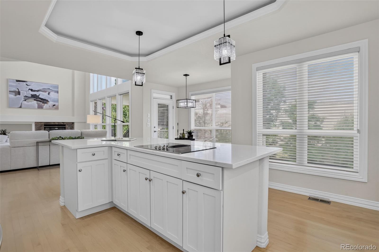 MLS Image #13 for 9041  kittiwake street,littleton, Colorado