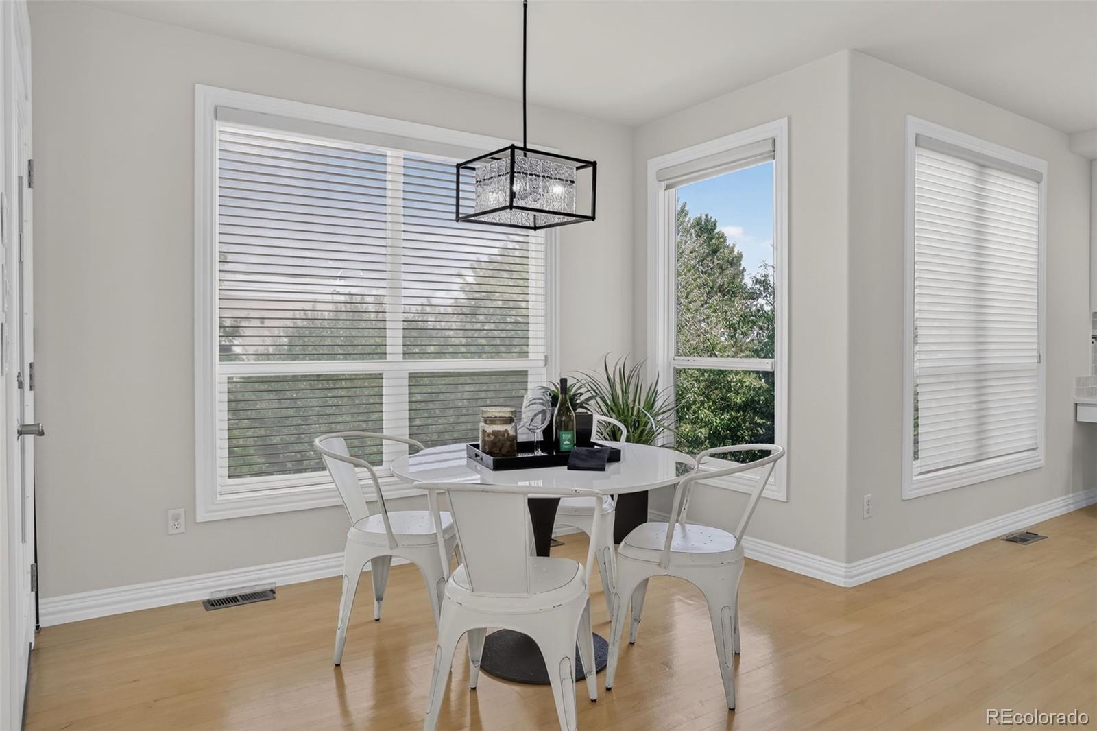 MLS Image #16 for 9041  kittiwake street,littleton, Colorado
