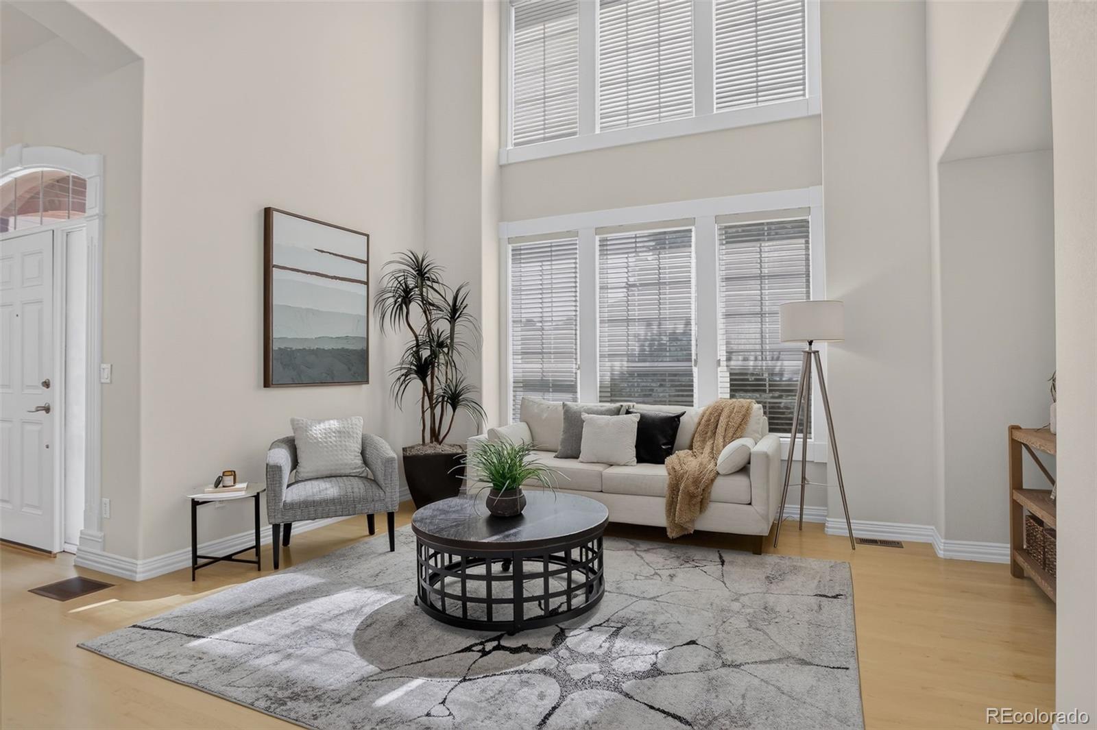 MLS Image #2 for 9041  kittiwake street,littleton, Colorado