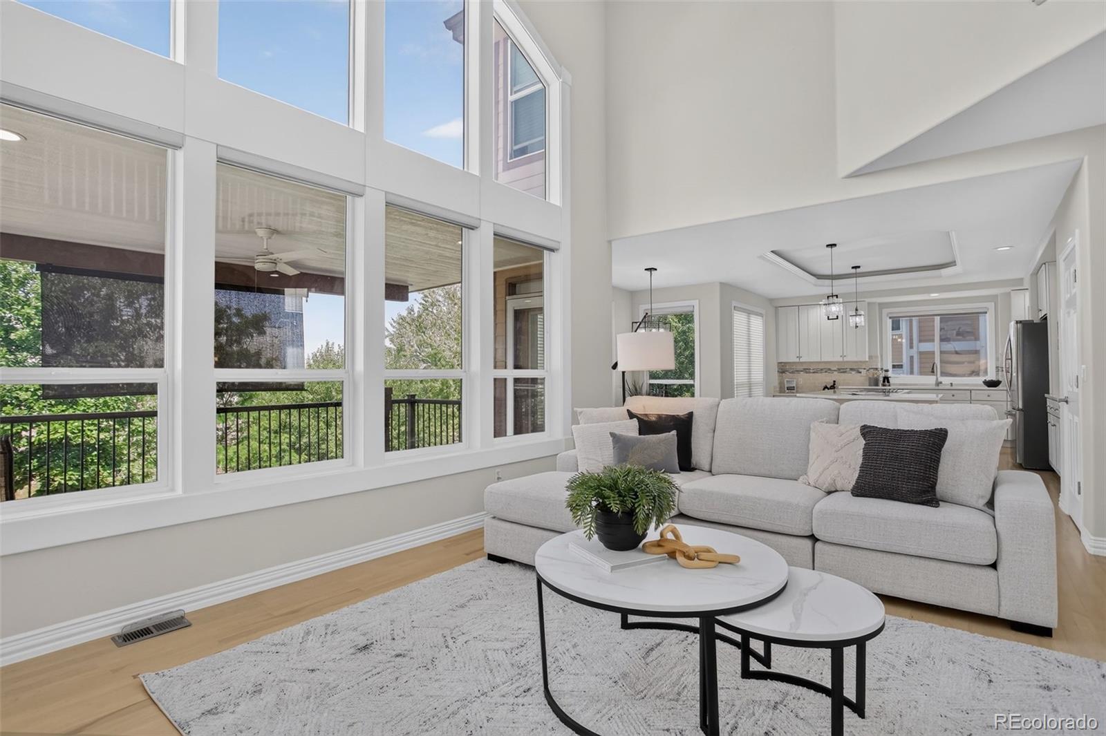 MLS Image #22 for 9041  kittiwake street,littleton, Colorado