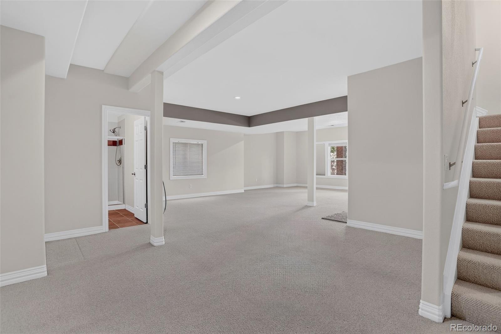 MLS Image #32 for 9041  kittiwake street,littleton, Colorado