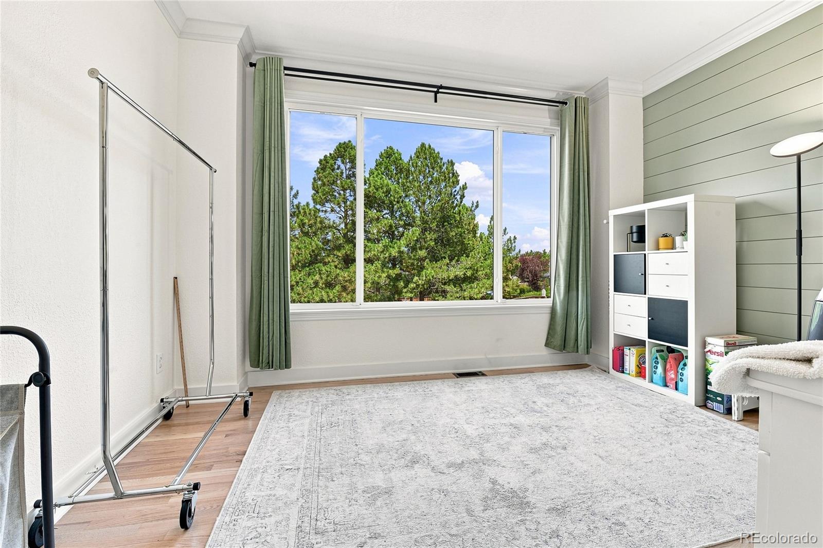 MLS Image #15 for 9183  princeton street,highlands ranch, Colorado