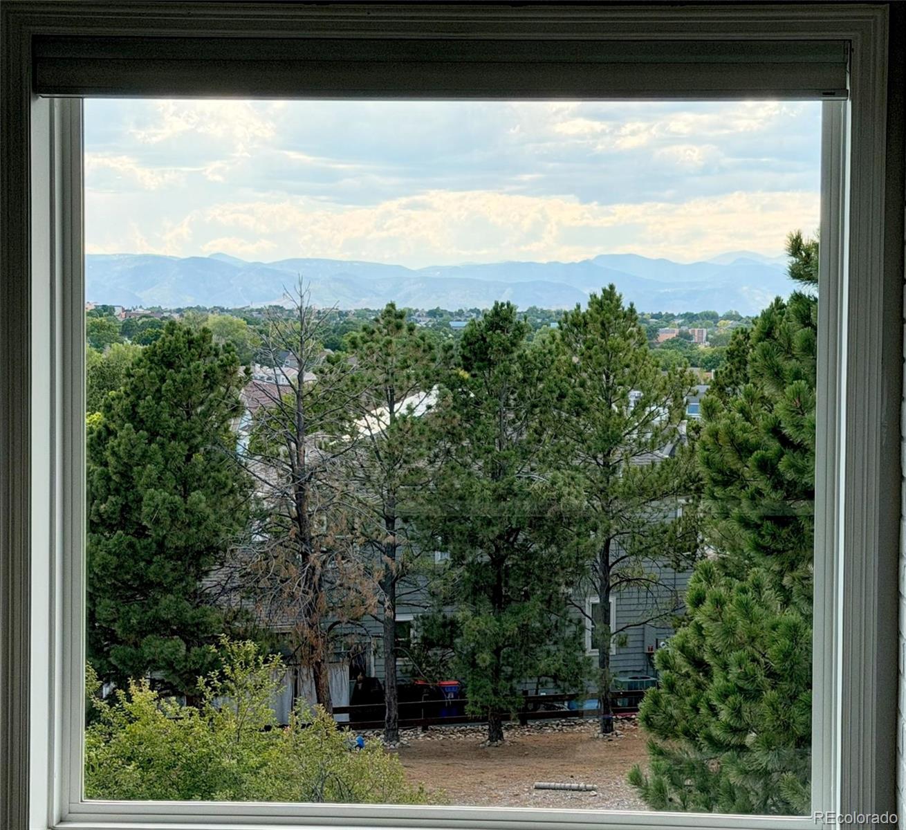 MLS Image #20 for 9183  princeton street,highlands ranch, Colorado