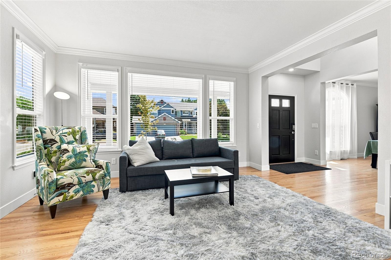 MLS Image #6 for 9183  princeton street,highlands ranch, Colorado