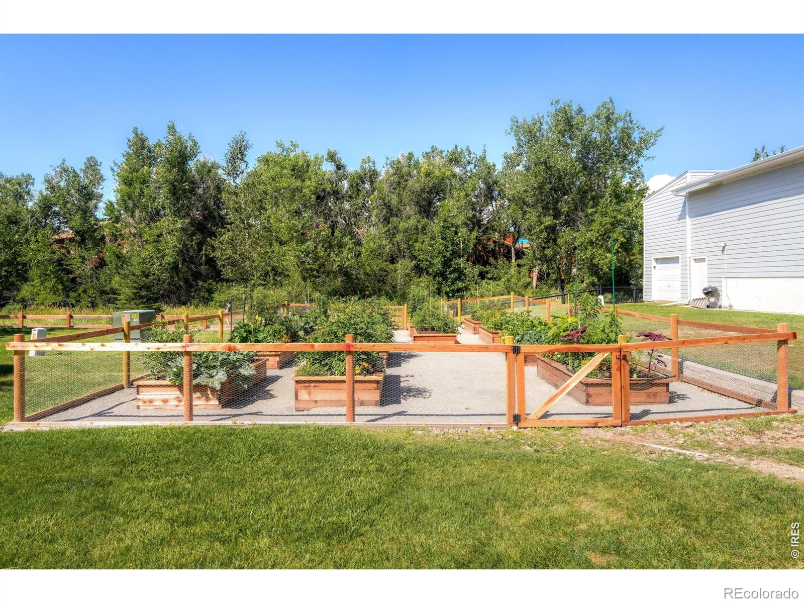 MLS Image #5 for 3690  iris avenue,boulder, Colorado