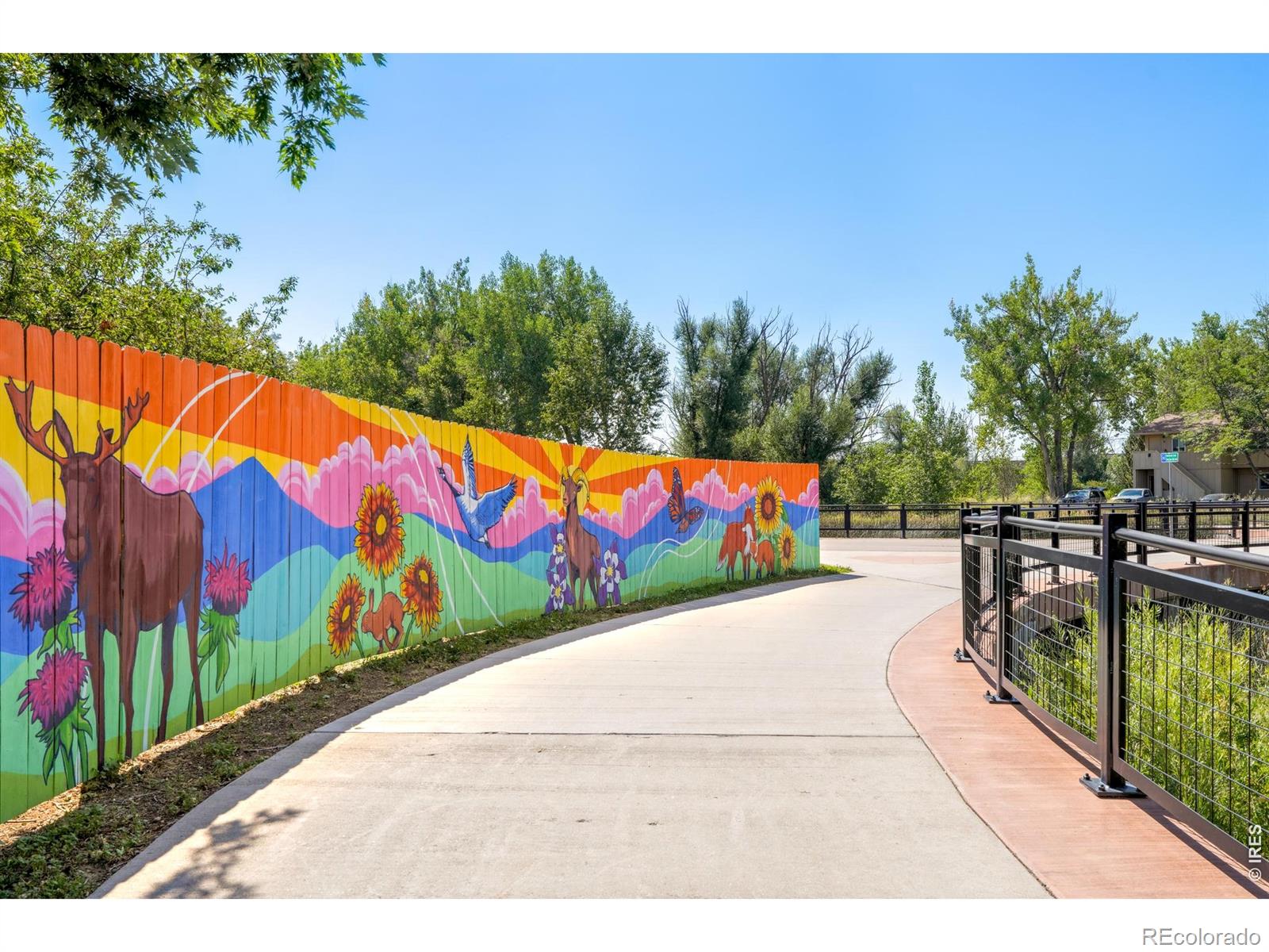 MLS Image #6 for 3690  iris avenue,boulder, Colorado