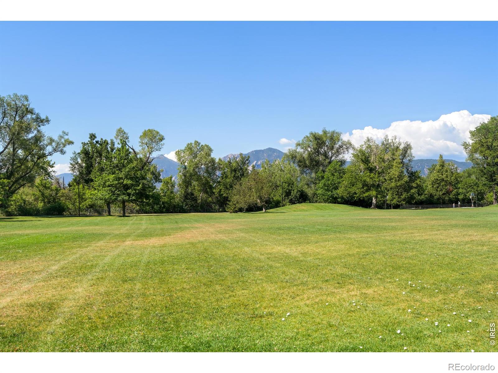 MLS Image #9 for 3690  iris avenue,boulder, Colorado
