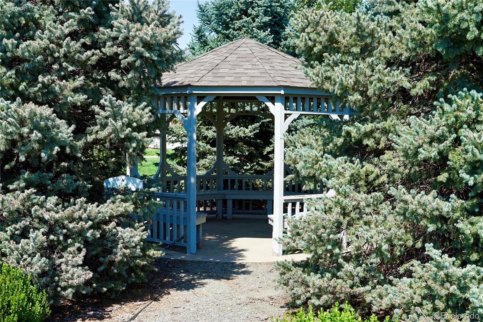 MLS Image #44 for 9582  deerhorn court 54,parker, Colorado