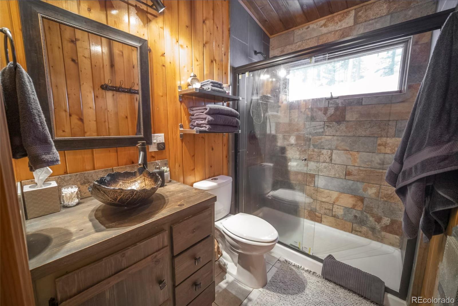 MLS Image #10 for 34788  forest estates road,evergreen, Colorado
