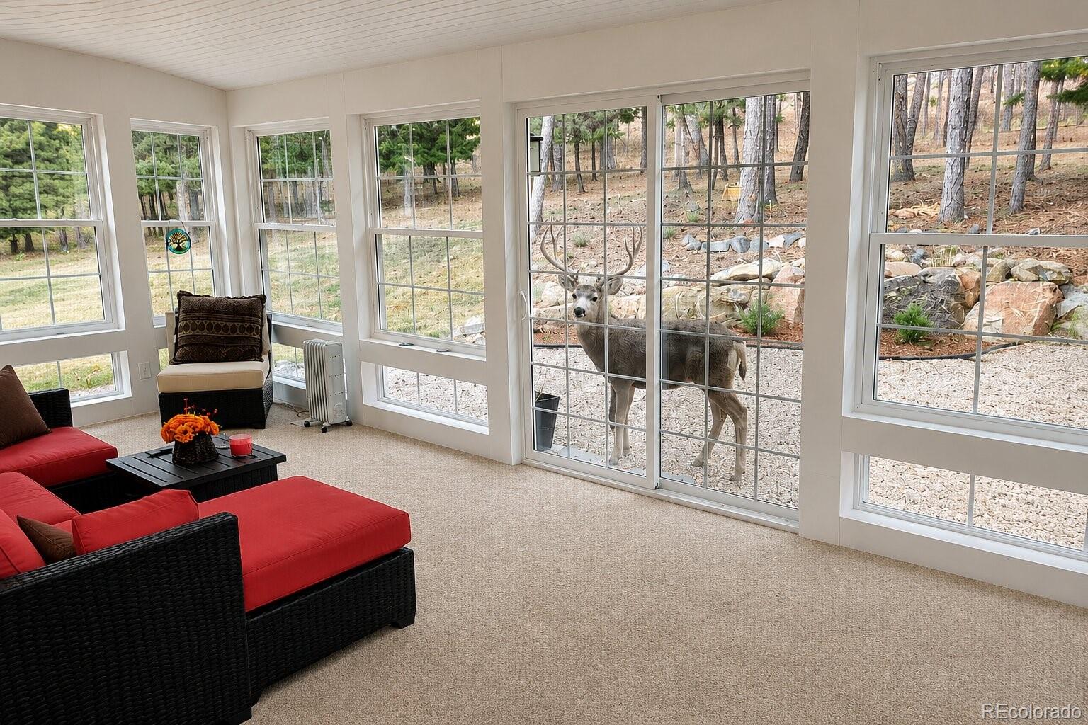 MLS Image #20 for 4854  cheyenne drive,larkspur, Colorado