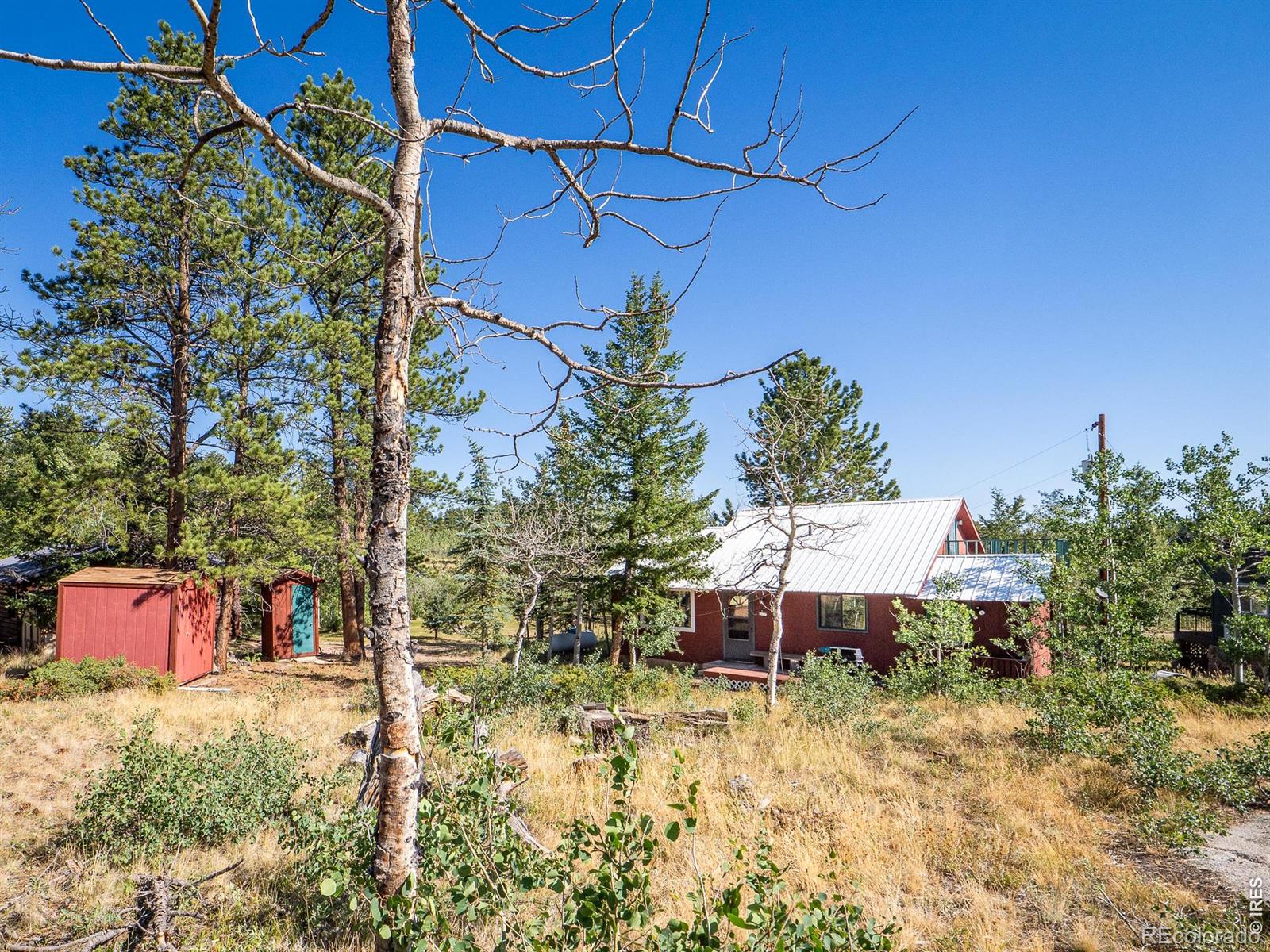 MLS Image #2 for 478  wapiti road,red feather lakes, Colorado