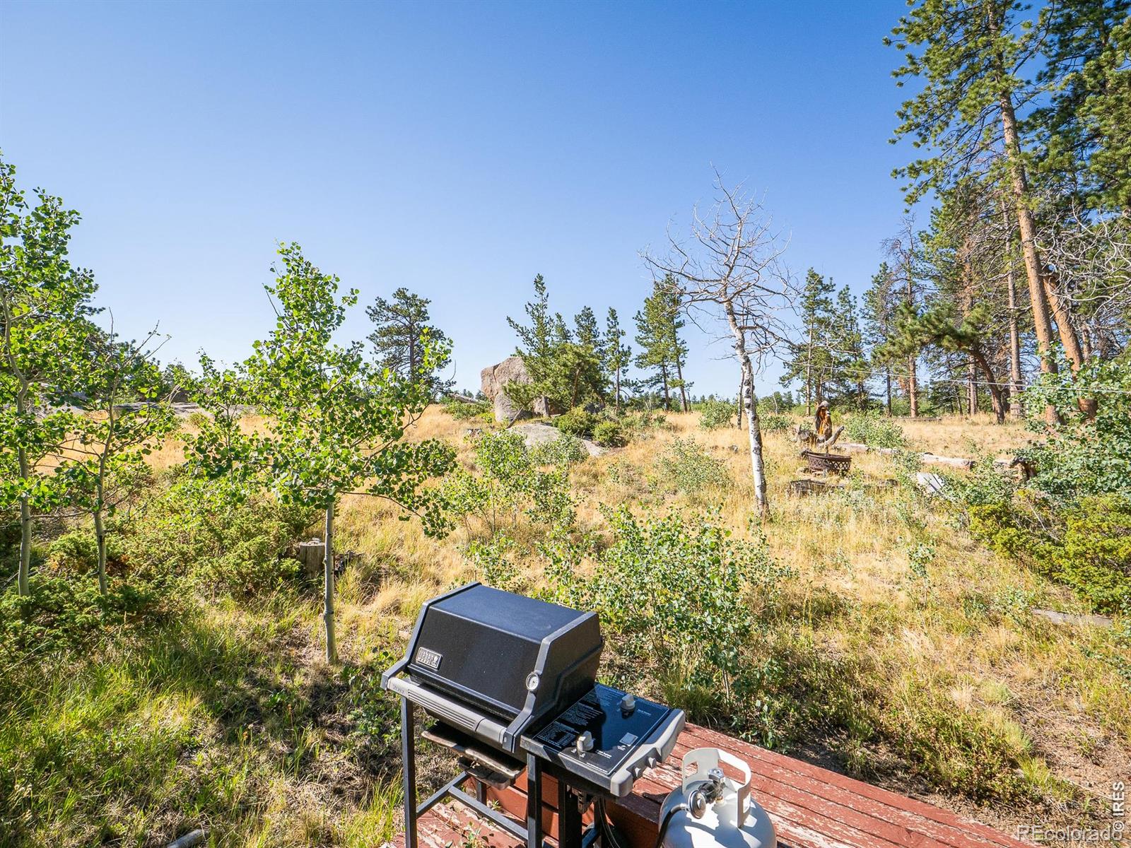 MLS Image #35 for 478  wapiti road,red feather lakes, Colorado