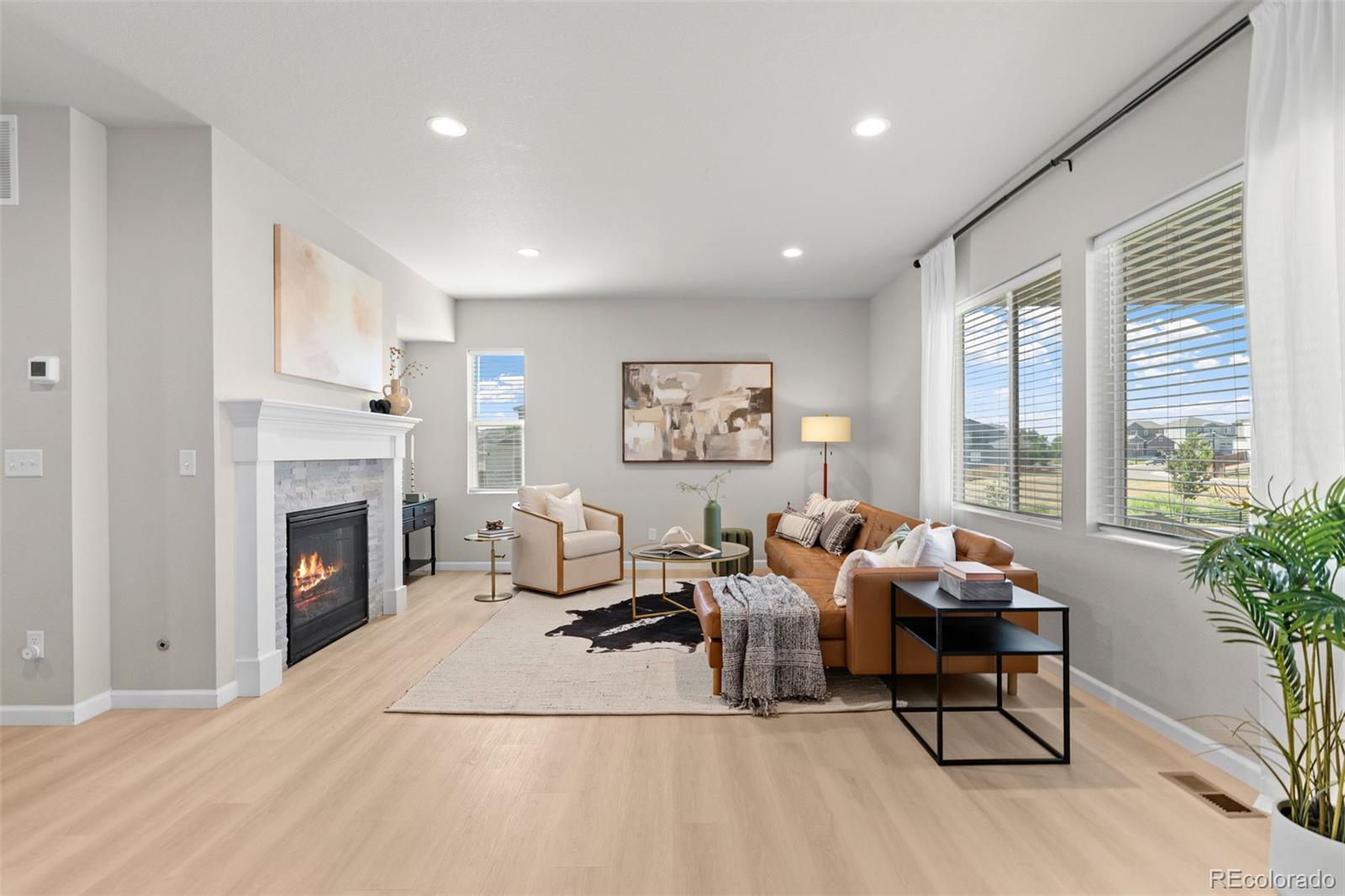 MLS Image #10 for 11703  niagara street,thornton, Colorado