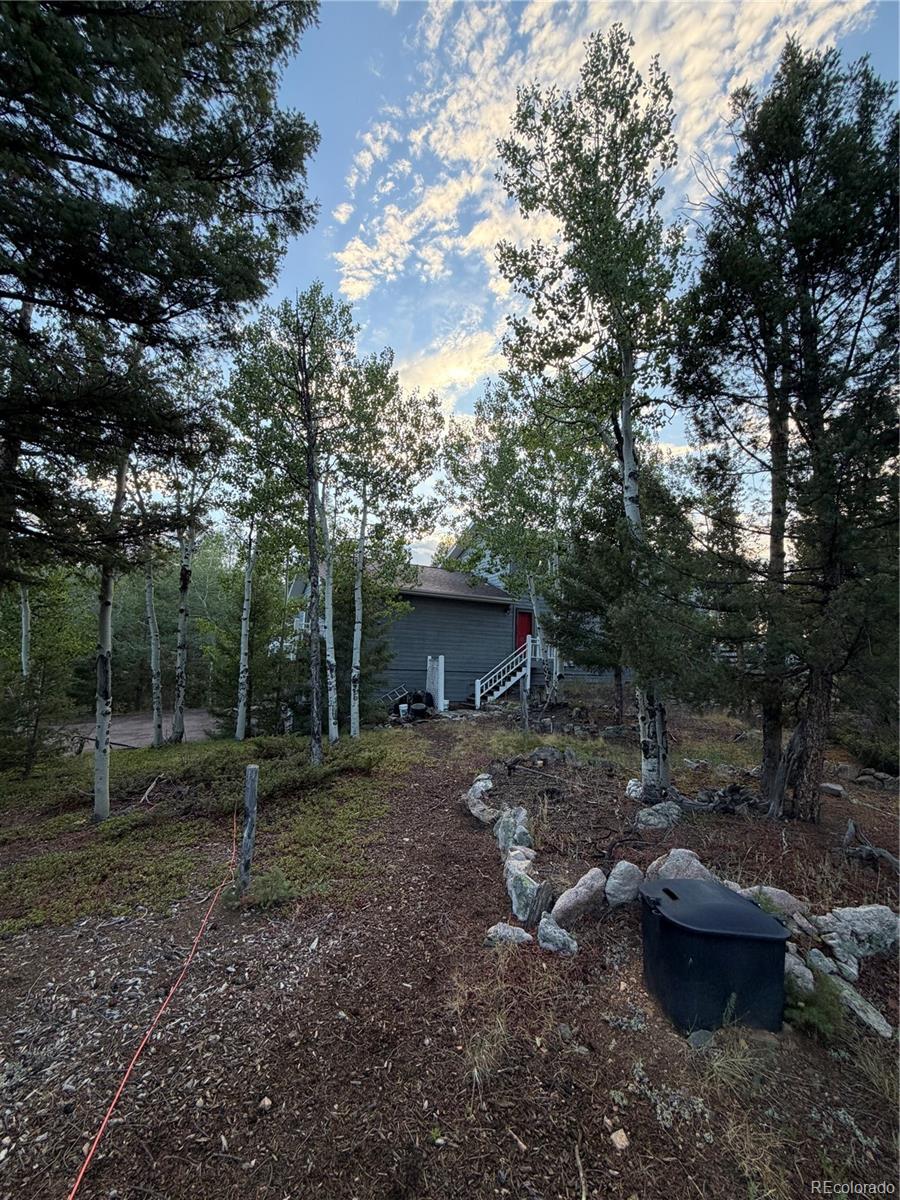 MLS Image #11 for 11223 s barney gulch road,conifer, Colorado