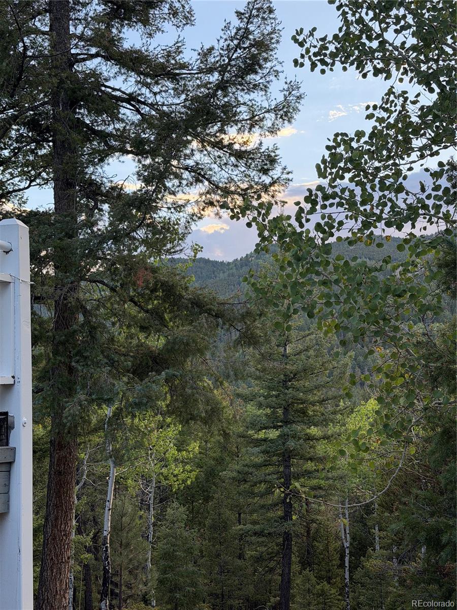 MLS Image #12 for 11223 s barney gulch road,conifer, Colorado