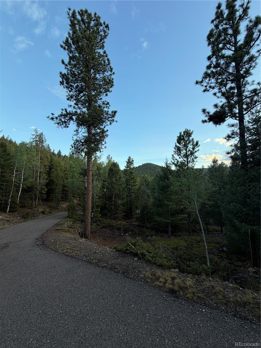 MLS Image #13 for 11223 s barney gulch road,conifer, Colorado