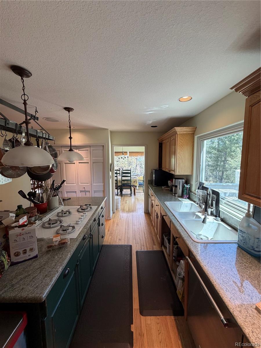 MLS Image #22 for 11223 s barney gulch road,conifer, Colorado