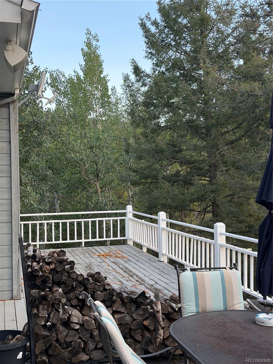 MLS Image #6 for 11223 s barney gulch road,conifer, Colorado