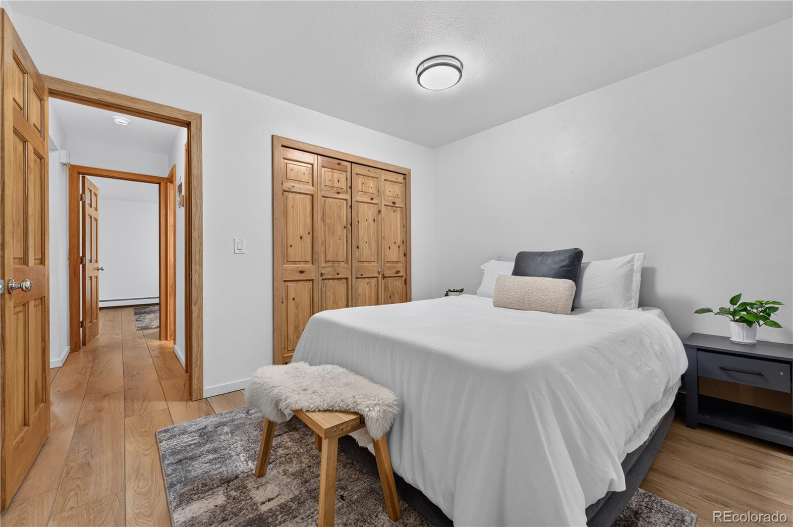 MLS Image #10 for 300 e miners creek road,frisco, Colorado