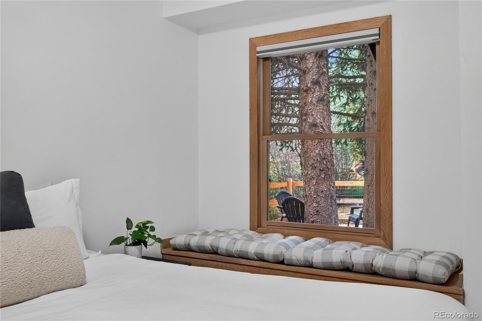 MLS Image #11 for 300 e miners creek road,frisco, Colorado