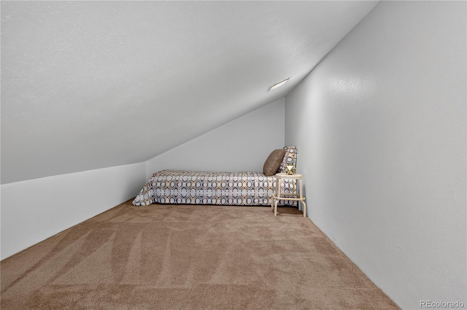 MLS Image #15 for 300 e miners creek road,frisco, Colorado