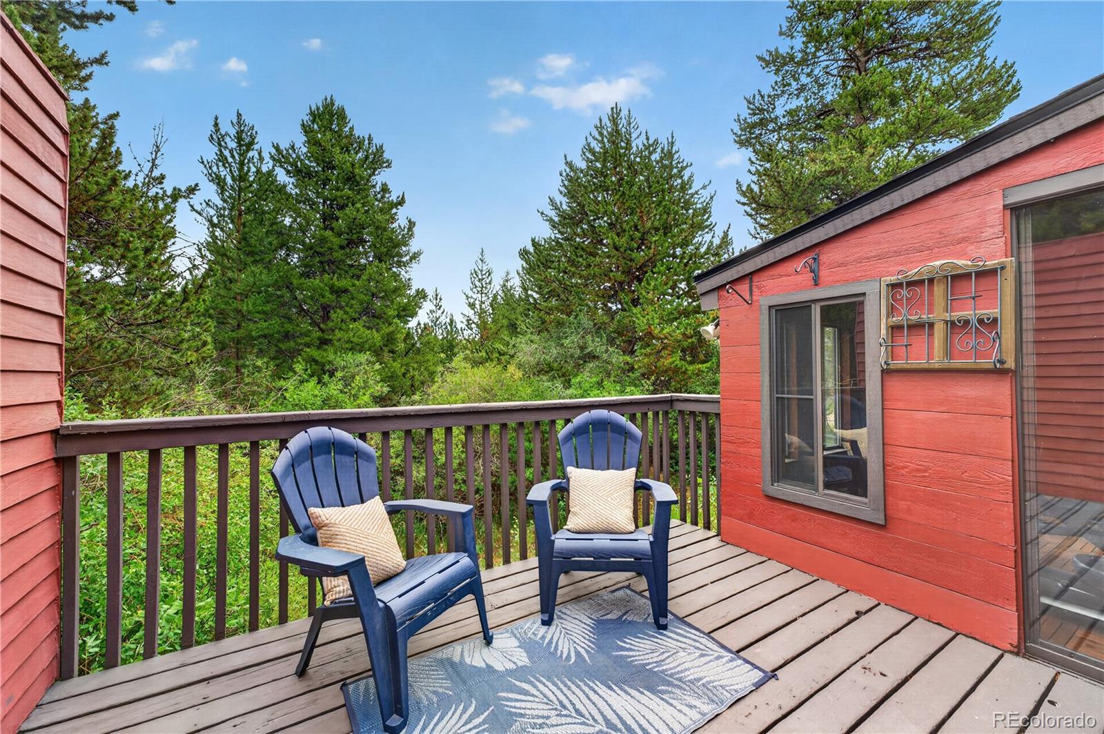 MLS Image #18 for 300 e miners creek road,frisco, Colorado