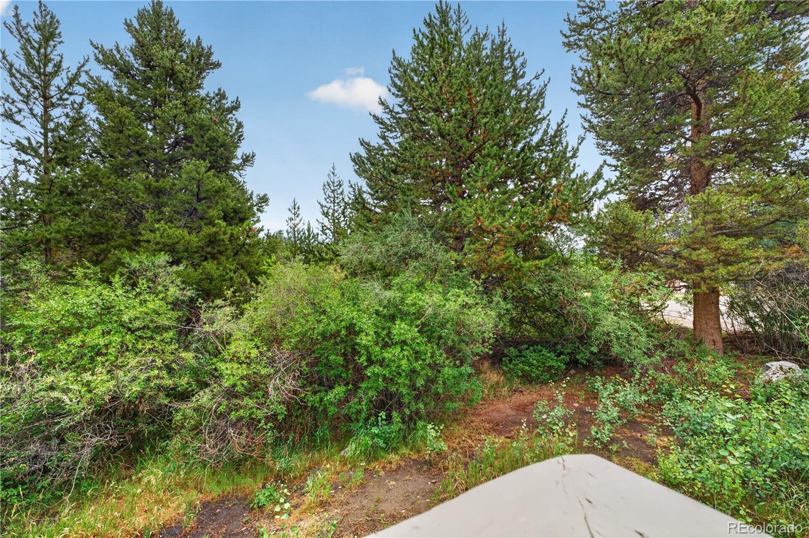 MLS Image #20 for 300 e miners creek road,frisco, Colorado