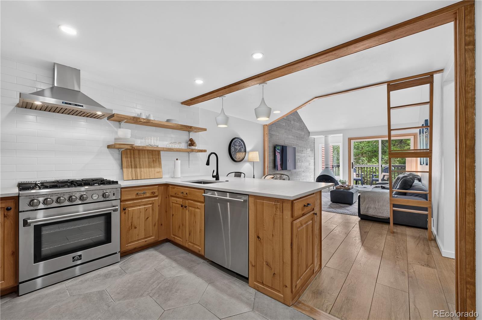 MLS Image #4 for 300 e miners creek road,frisco, Colorado