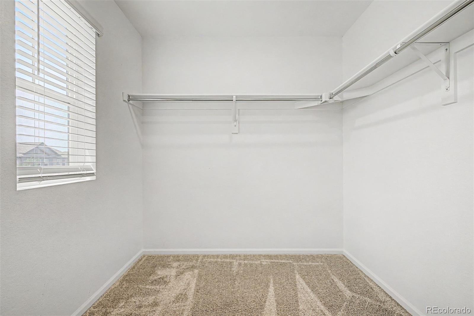 MLS Image #16 for 11441  booth falls court,parker, Colorado