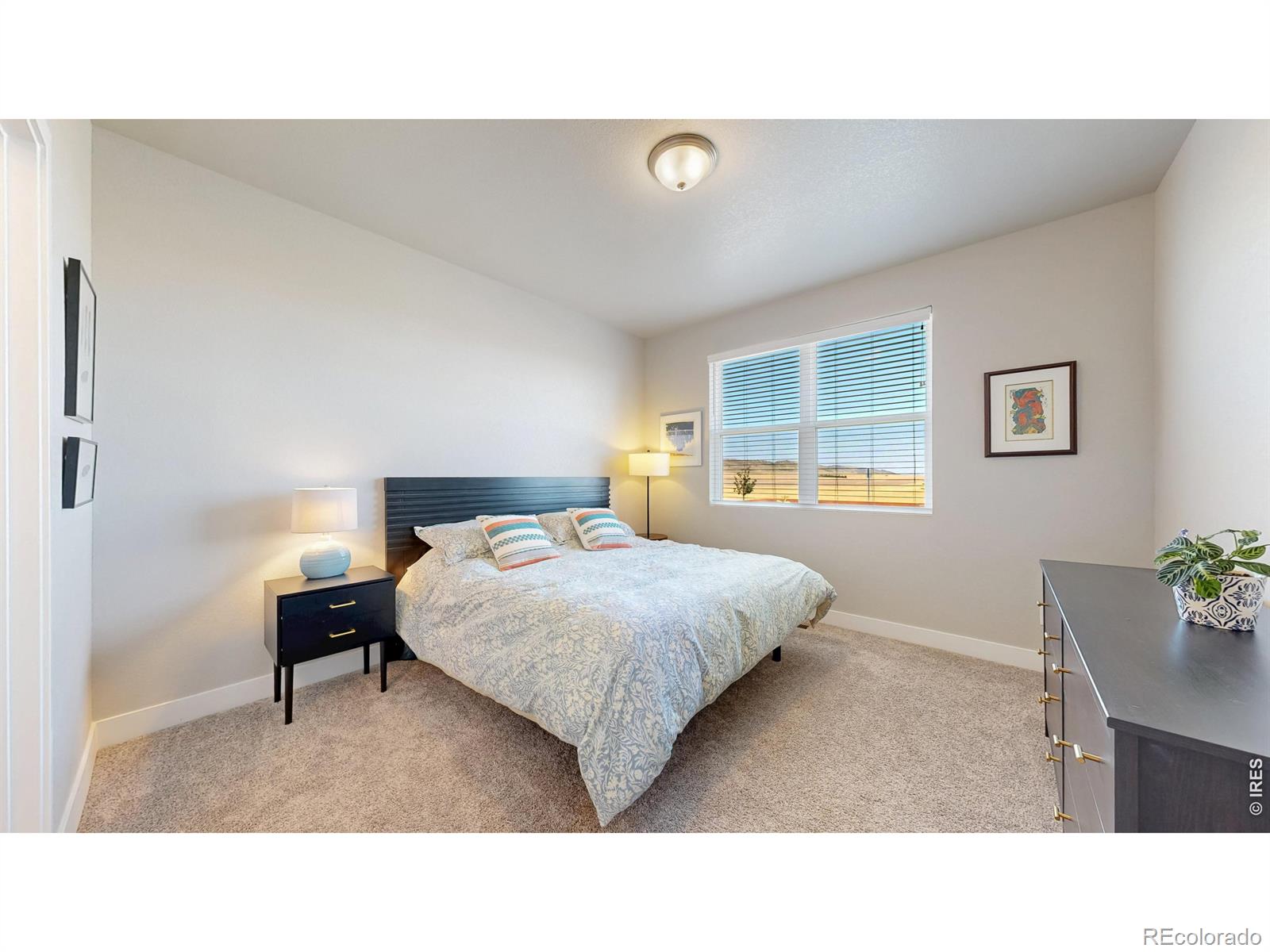 MLS Image #10 for 4985  goya court,loveland, Colorado