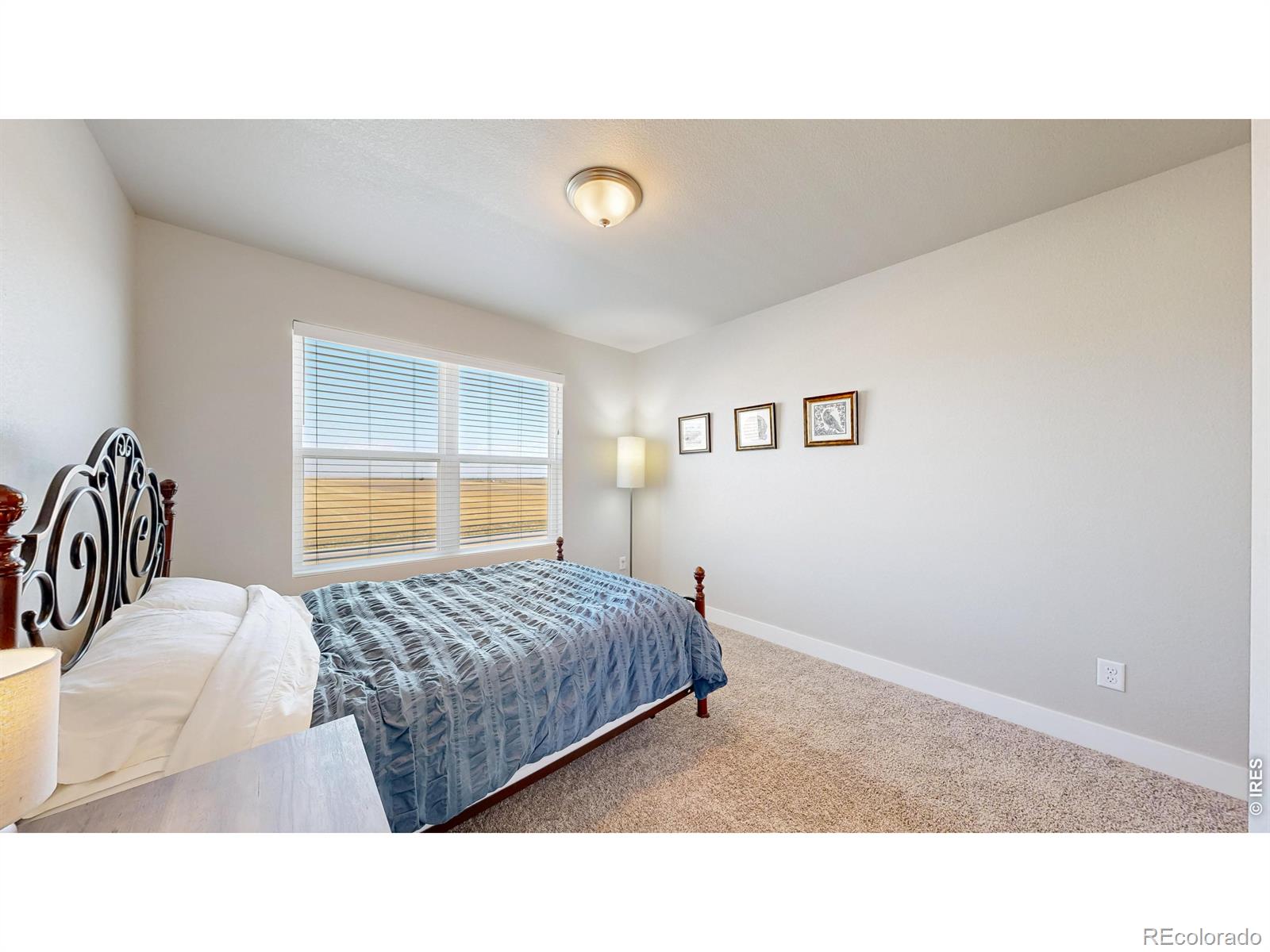 MLS Image #21 for 4985  goya court,loveland, Colorado