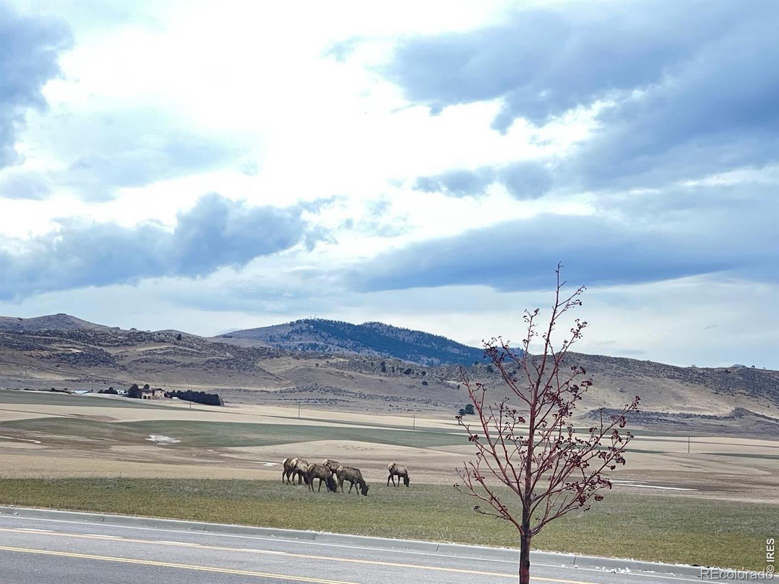 MLS Image #44 for 4985  goya court,loveland, Colorado