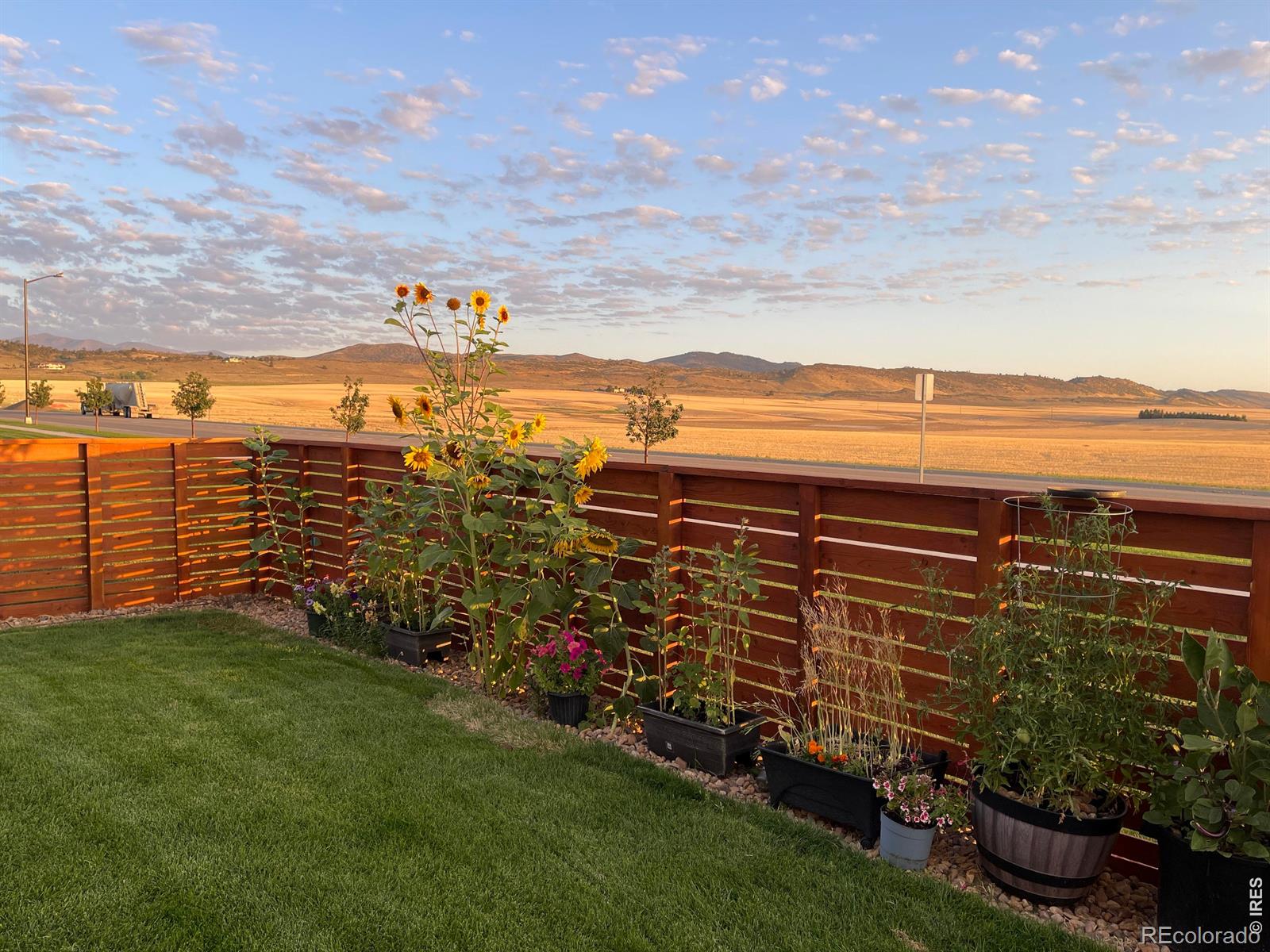 MLS Image #47 for 4985  goya court,loveland, Colorado