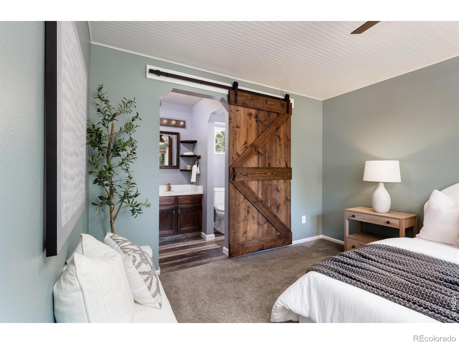 MLS Image #12 for 1921  sumner street,longmont, Colorado