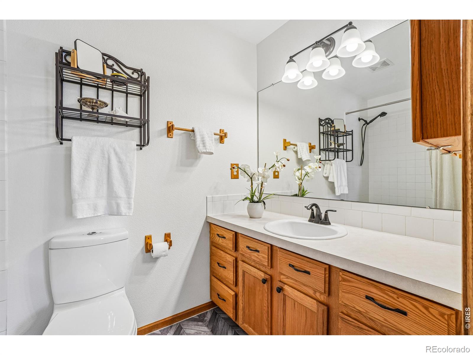 MLS Image #17 for 3201  belmont court,wellington, Colorado
