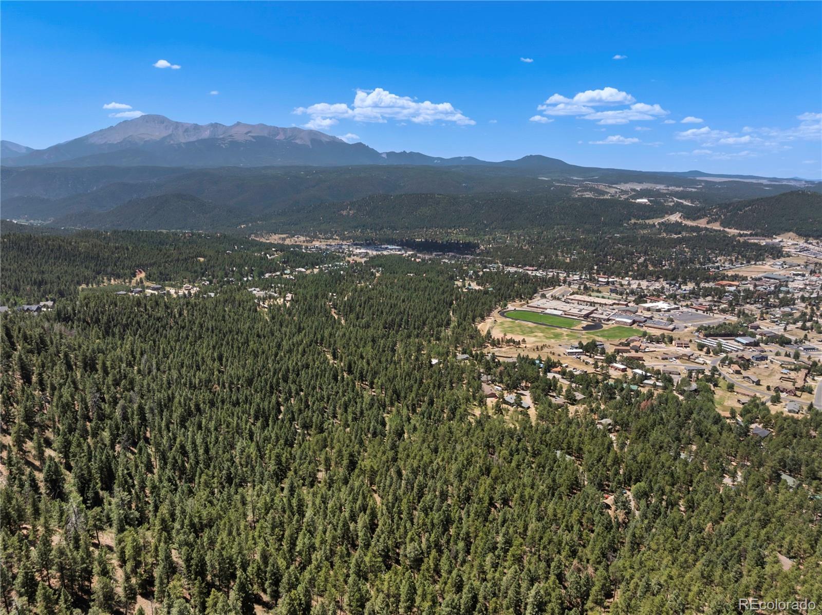MLS Image #7 for 1150  forest hill place,woodland park, Colorado