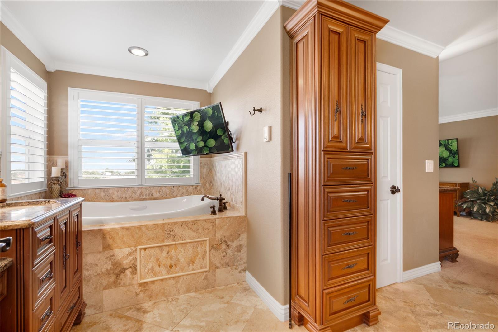 MLS Image #26 for 10119  knoll circle,highlands ranch, Colorado