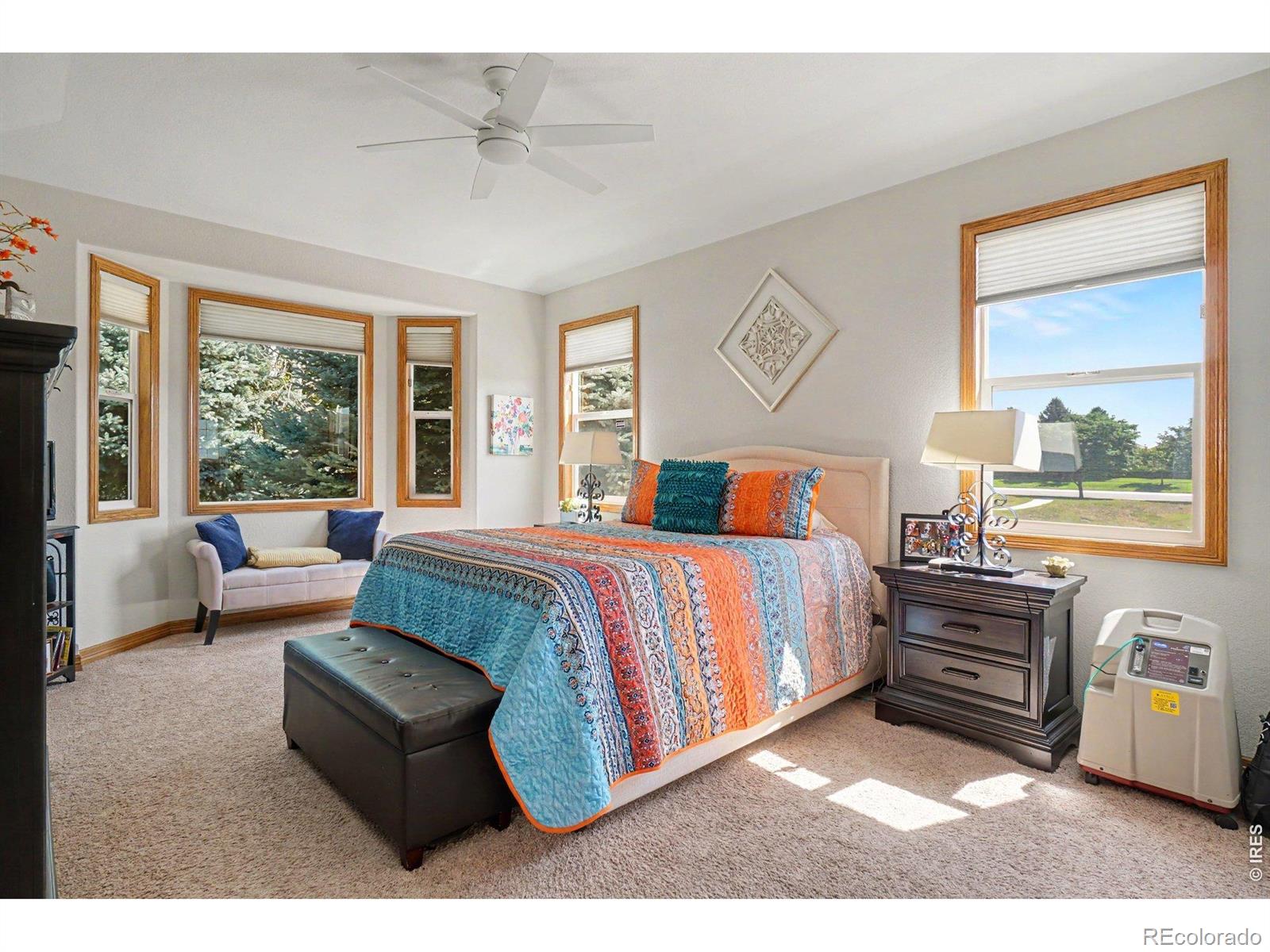 MLS Image #15 for 1505  farmland street,loveland, Colorado