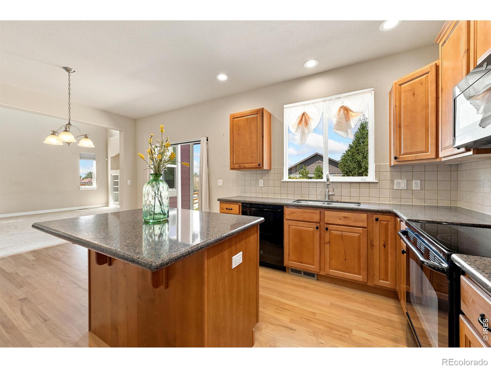 MLS Image #17 for 16821  roberts street,mead, Colorado