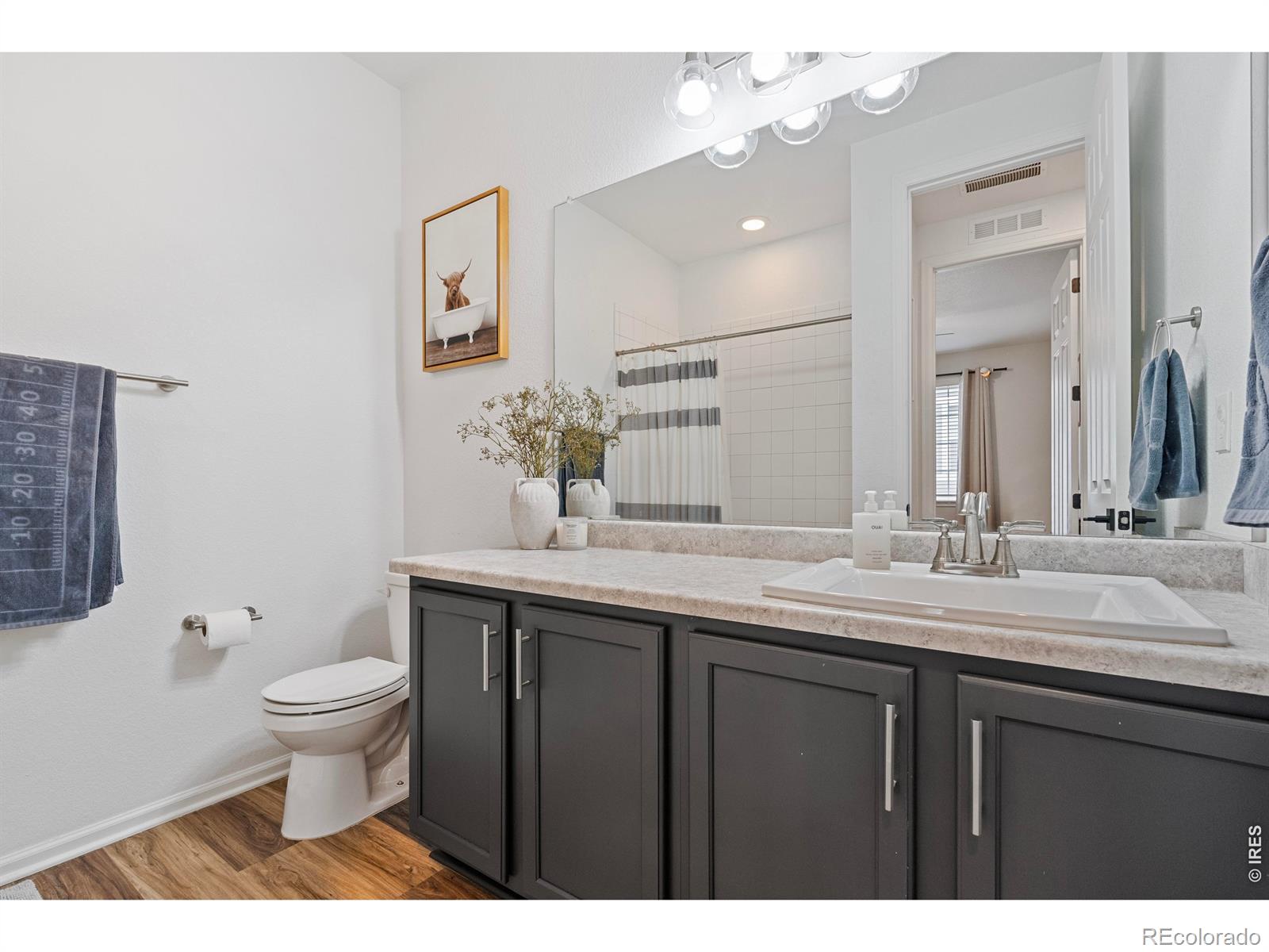 MLS Image #11 for 937  eva peak drive,erie, Colorado