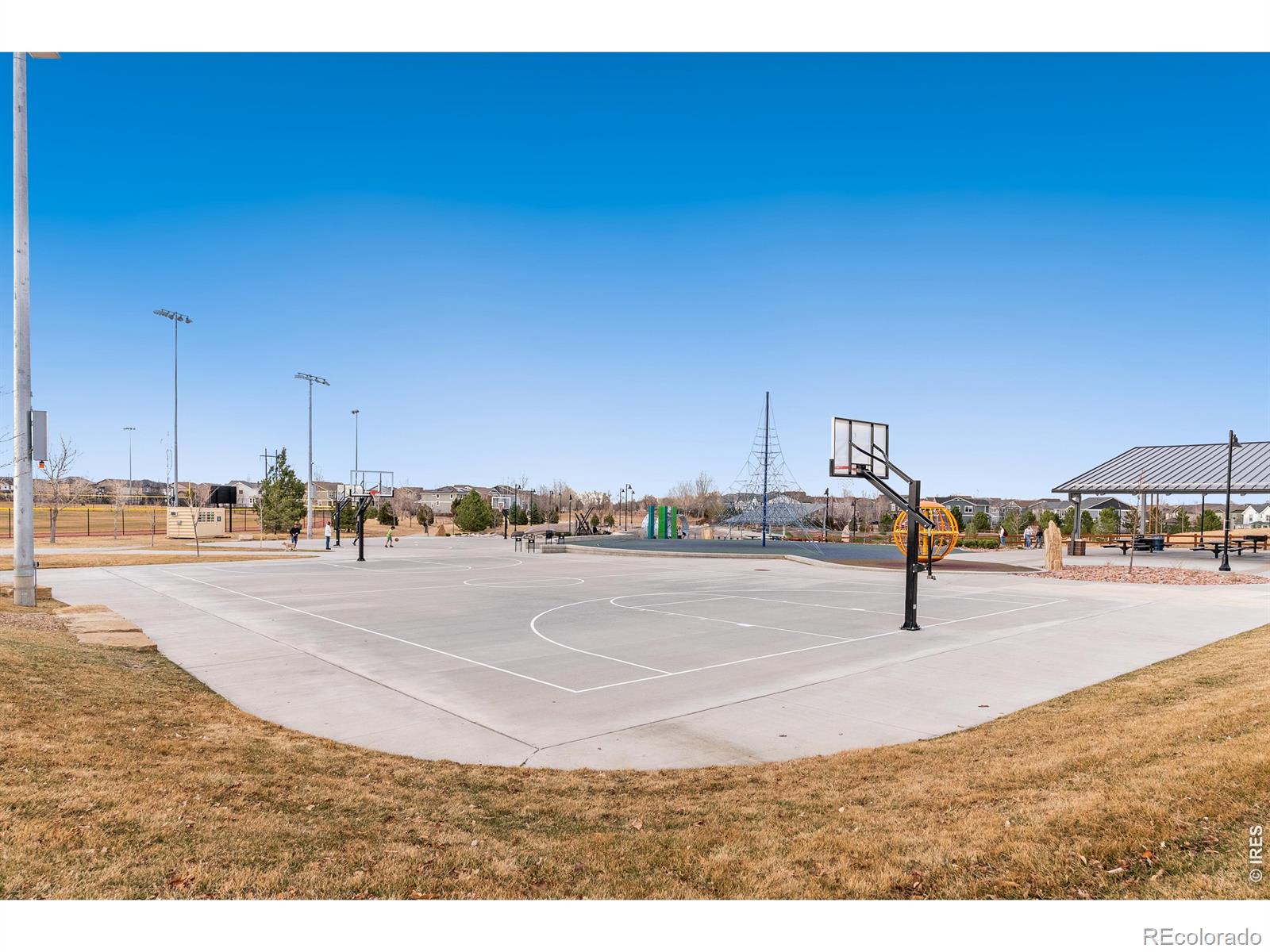 MLS Image #26 for 937  eva peak drive,erie, Colorado