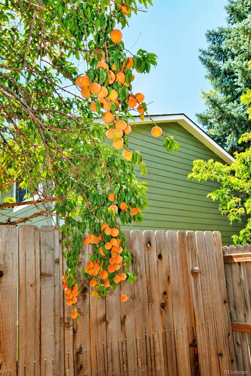 MLS Image #33 for 9380  newton street,westminster, Colorado
