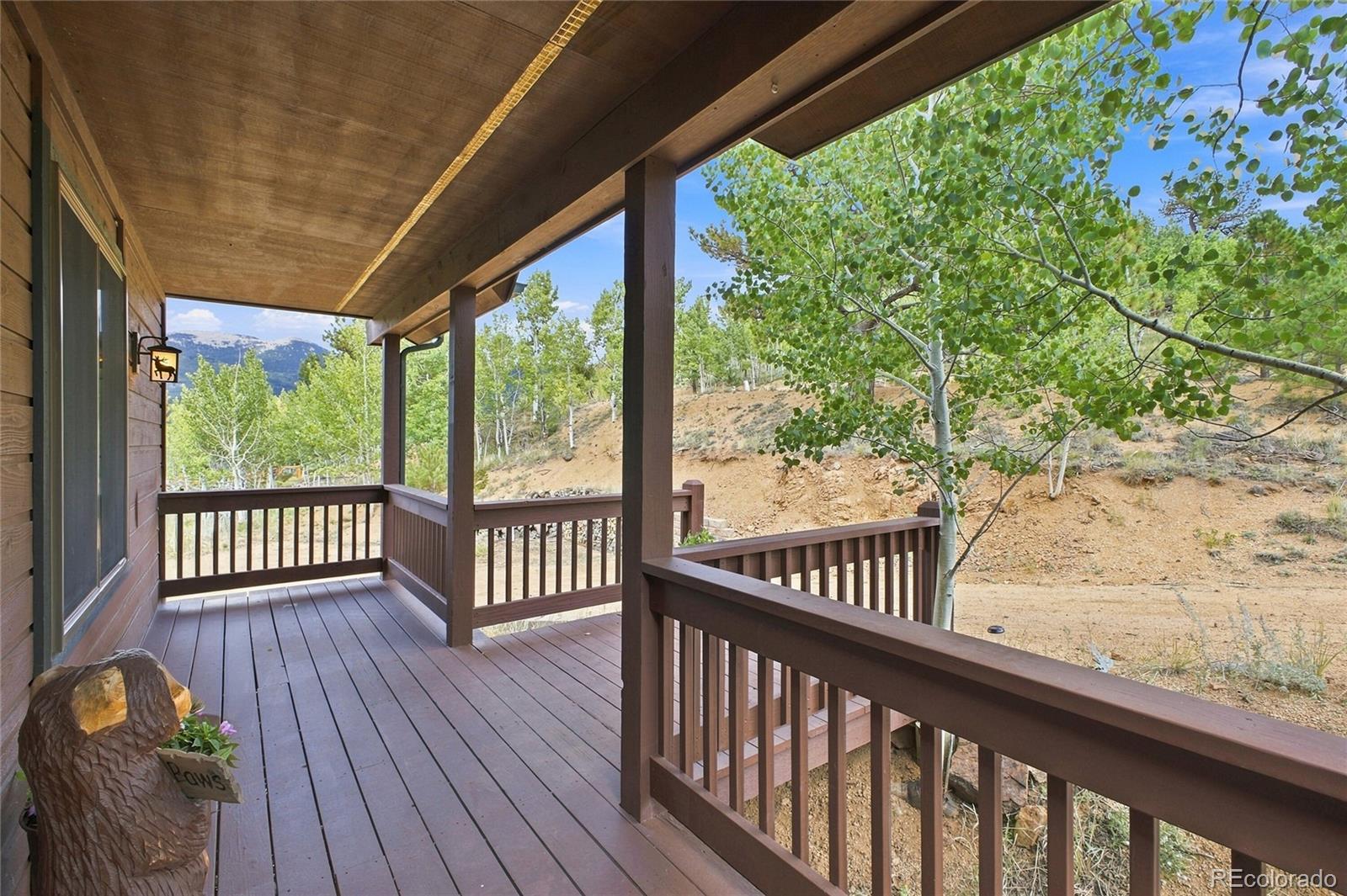 MLS Image #4 for 203  gold flake terrace,bailey, Colorado