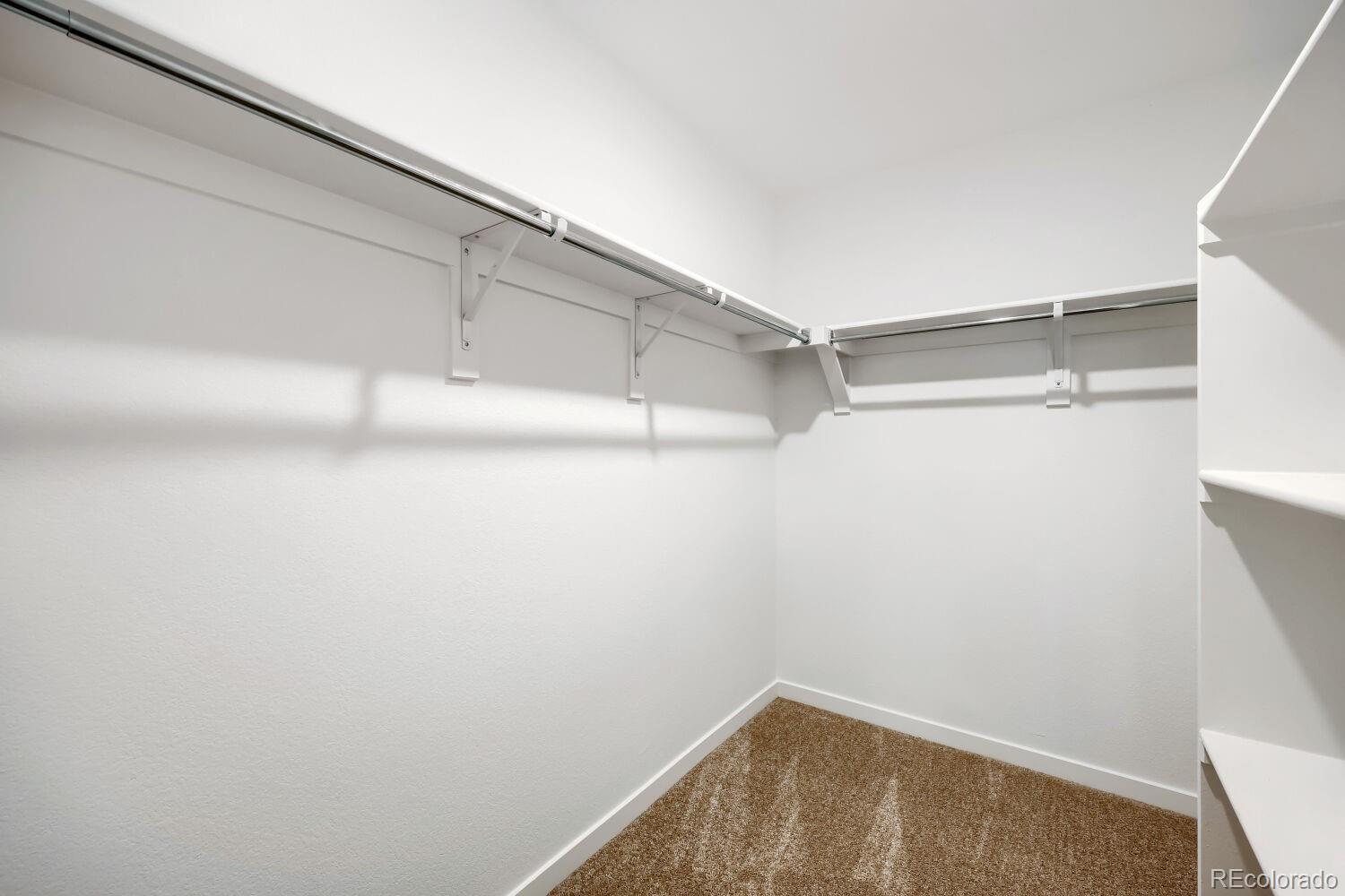 MLS Image #6 for 8778  blue feather loop,colorado springs, Colorado