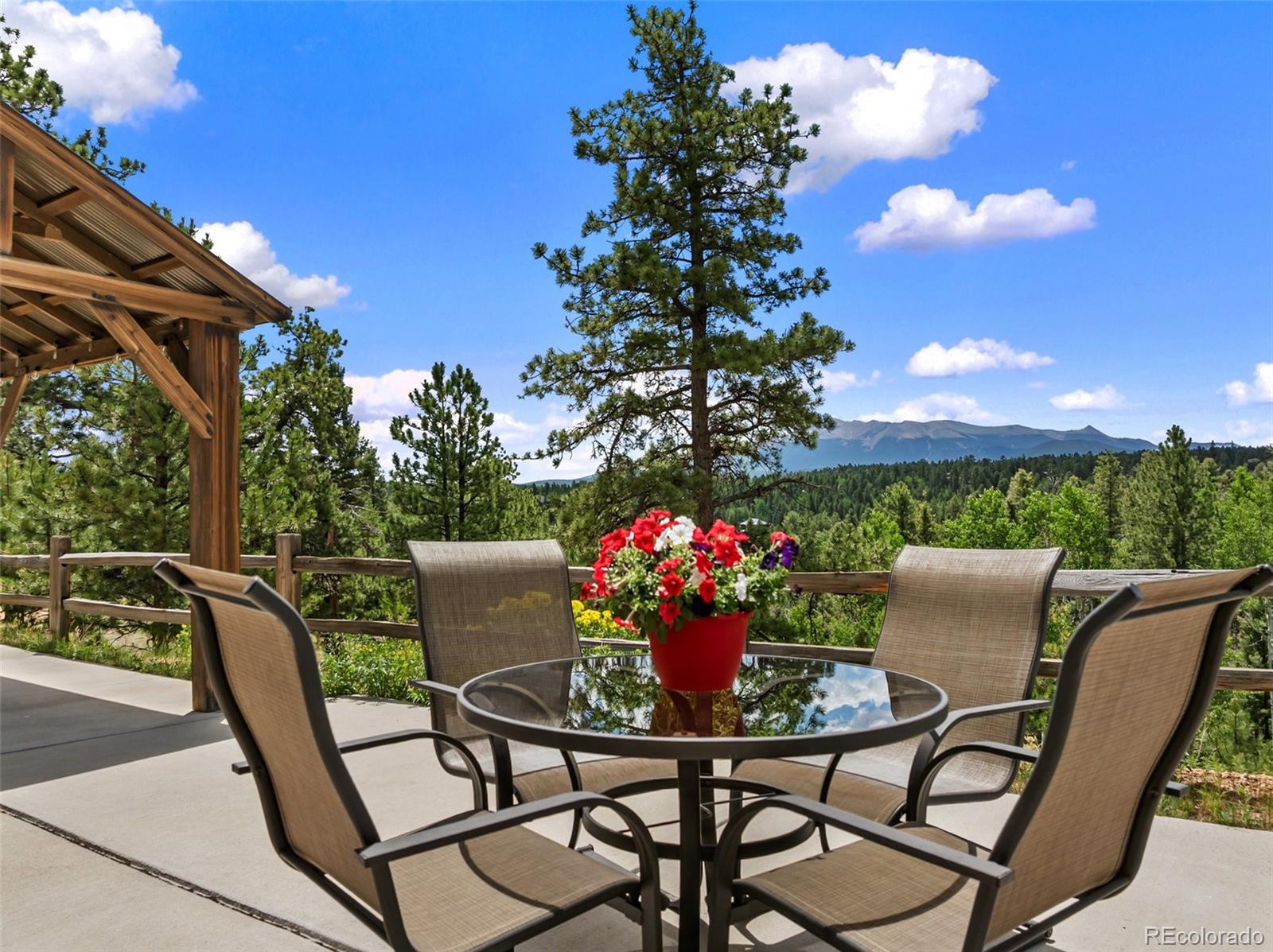 MLS Image #48 for 5542  north road,divide, Colorado